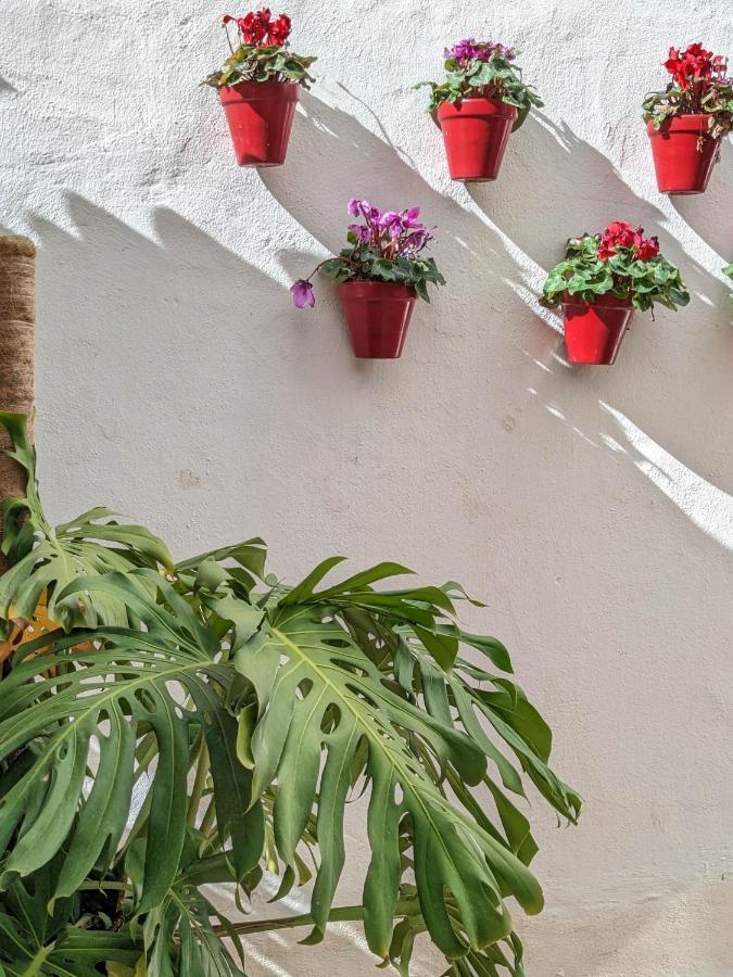 Harbor Getaway In The Heart Of Puerto Banus With Walking Dictance To Everything Μαρμπέλλα Εξωτερικό φωτογραφία